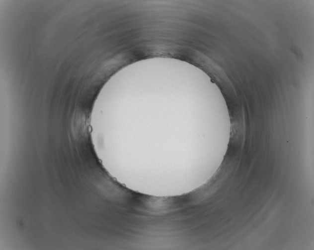 X0000114440142200911061711