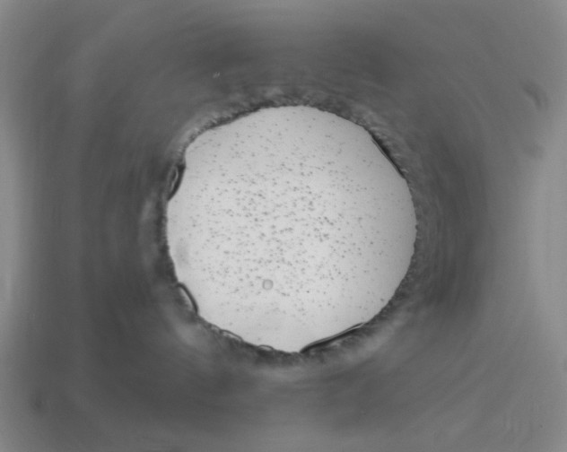 X0000114440144200911061711