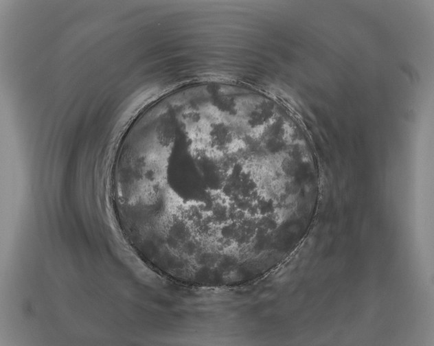 X0000114440145200911061711