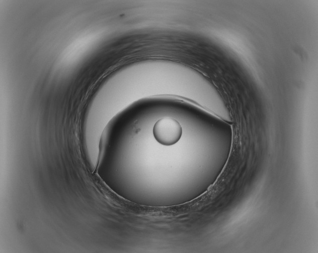 X0000114440146200911061711