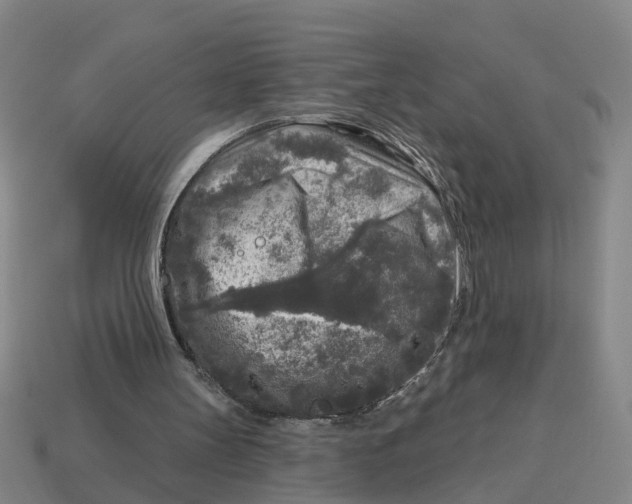 X0000114440147200911061711