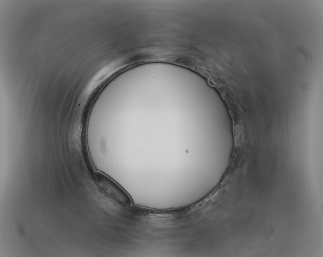 X0000114440150200911061711