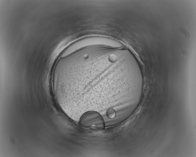 X0000114440151200911061711