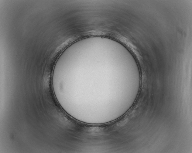 X0000114440153200911061711