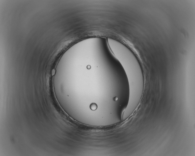 X0000114440154200911061711