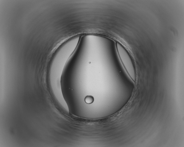 X0000114440155200911061711