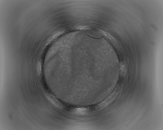 X0000114440158200911061711