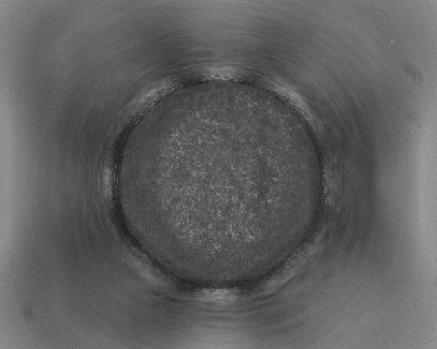 X0000114440161200911061711