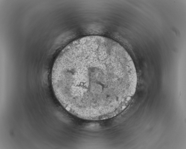 X0000114440162200911061711