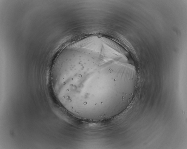 X0000114440163200911061711