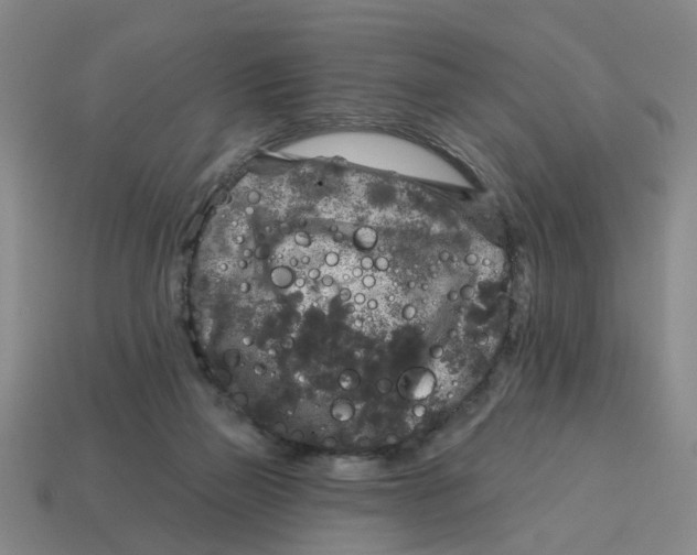 X0000114440165200911061711