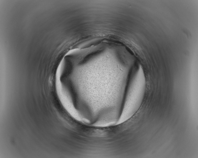 X0000114440166200911061711