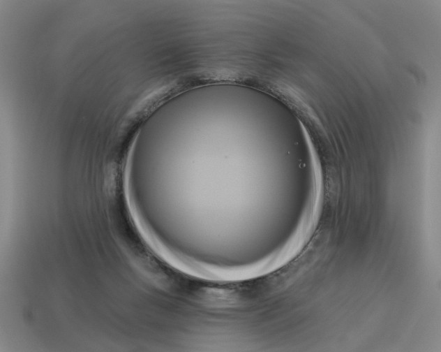 X0000114440167200911061711