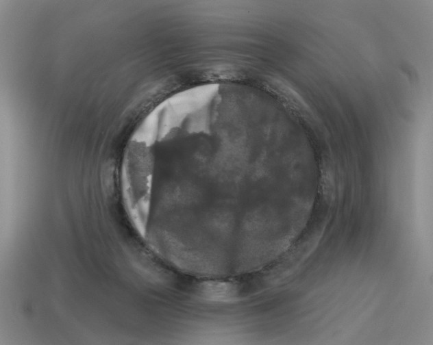 X0000114440169200911061711