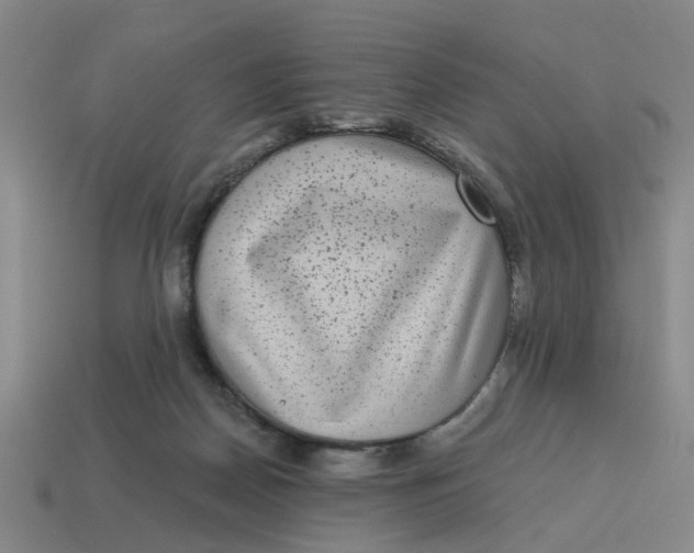 X0000114440170200911061711