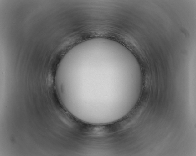 X0000114440173200911061711