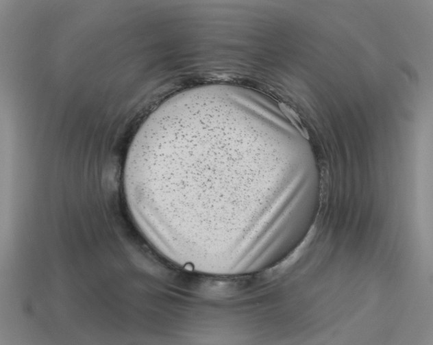 X0000114440174200911061711