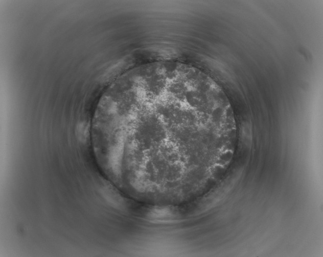 X0000114440177200911061711