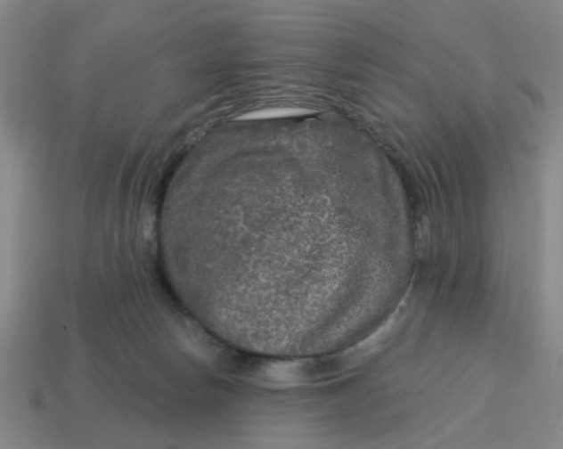 X0000114440178200911061711