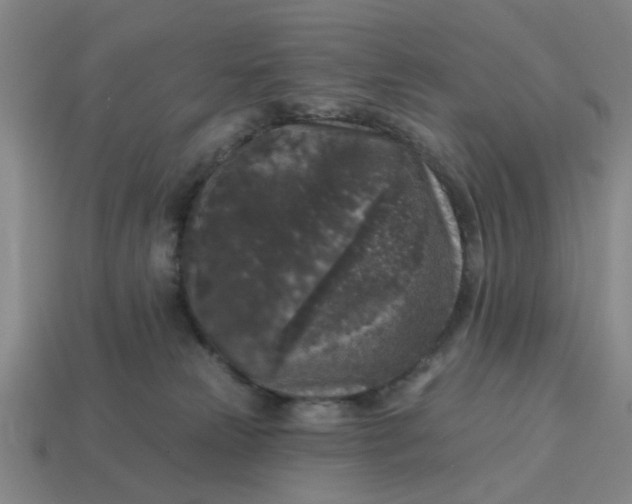 X0000114440181200911061711