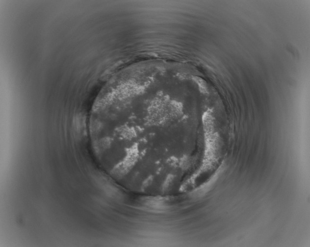 X0000114440182200911061711