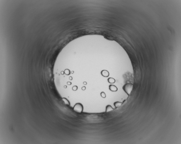 X0000114440183200911061711