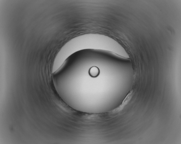 X0000114440186200911061711