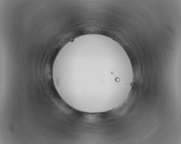 X0000114440187200911061711