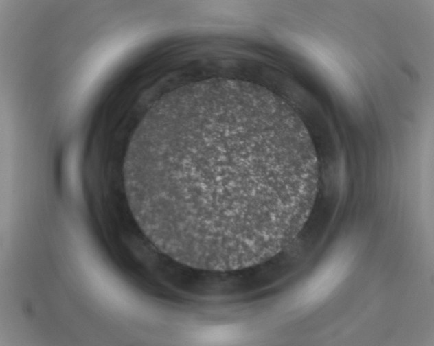 X0000114440189200911061711