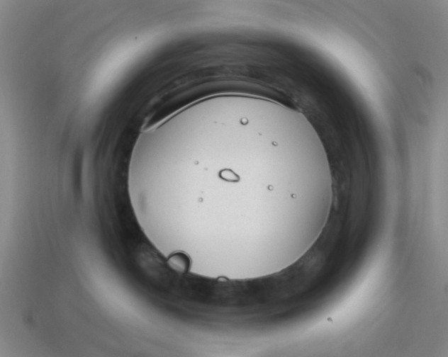 X0000114440190200911061711