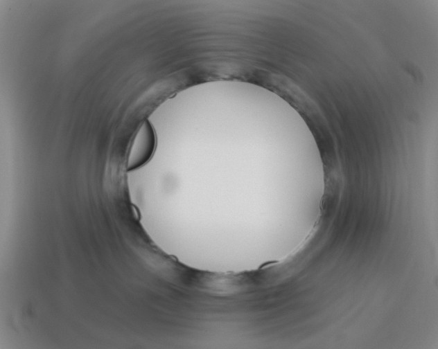 X0000114440191200911061711