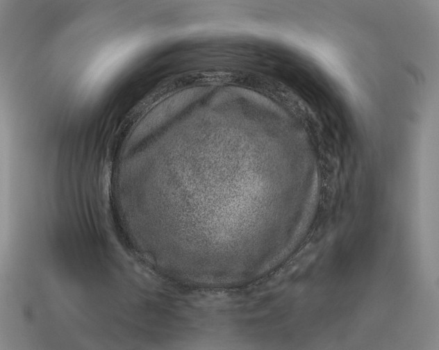 X0000114440194200911061711