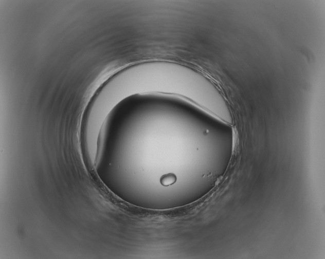 X0000114440195200911061711