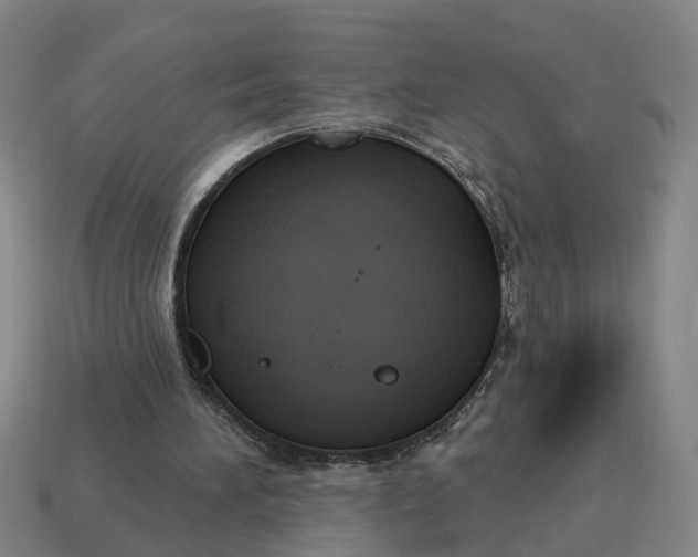 X0000114440196200911061711