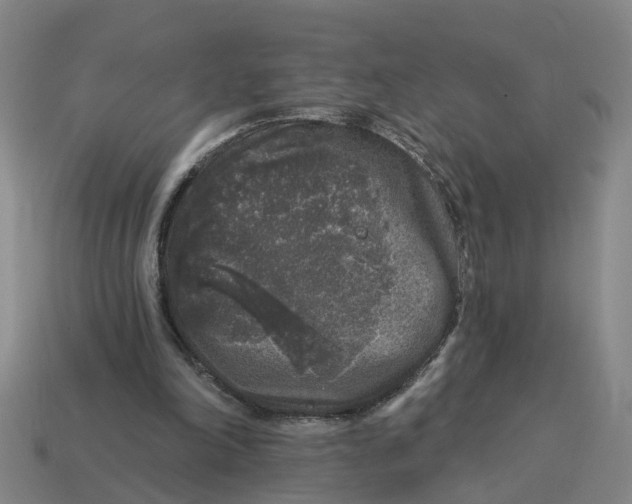 X0000114440198200911061711