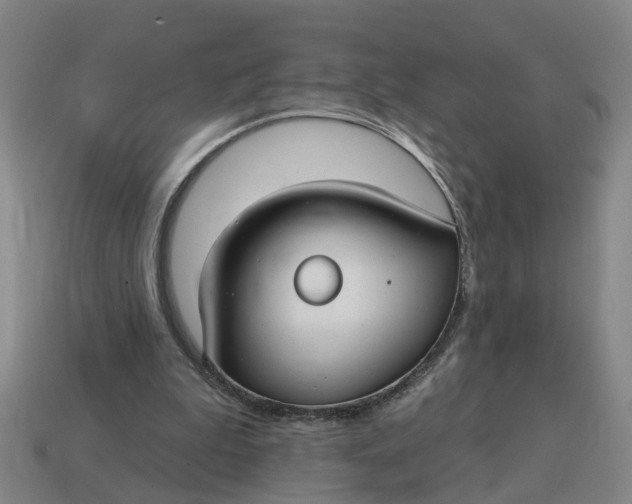 X0000114440199200911061711