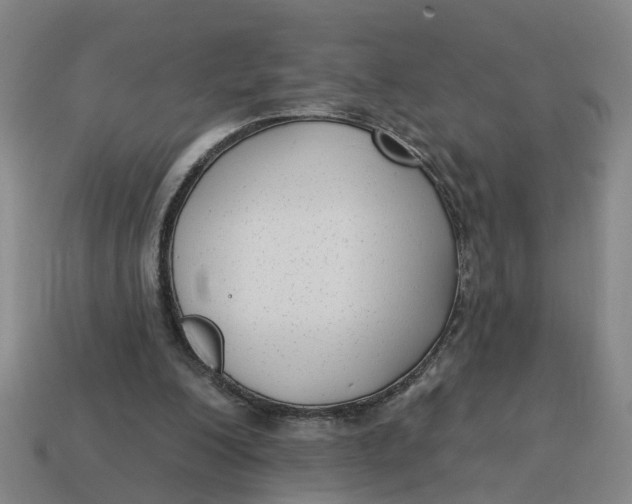 X0000114440200200911061711