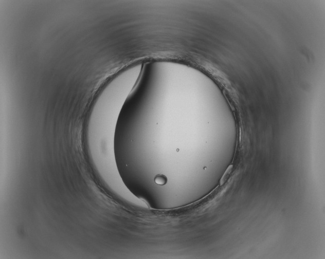 X0000114440201200911061711