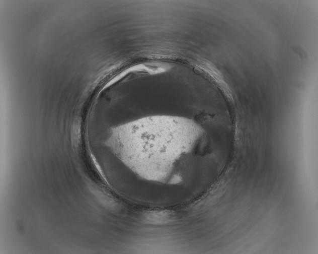 X0000114440202200911061711