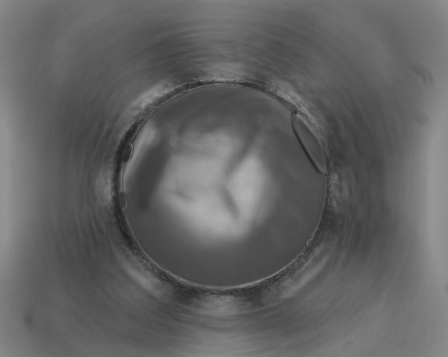 X0000114440203200911061711