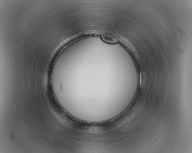 X0000114440204200911061711