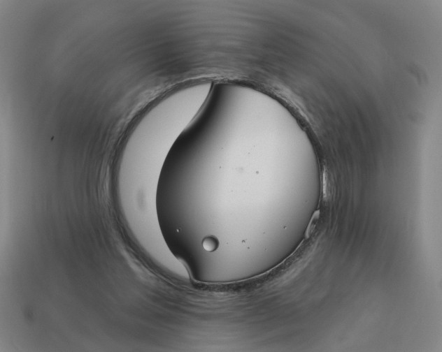 X0000114440205200911061711