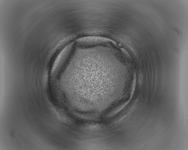 X0000114440206200911061711