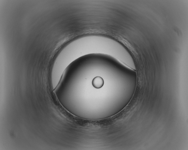 X0000114440207200911061711