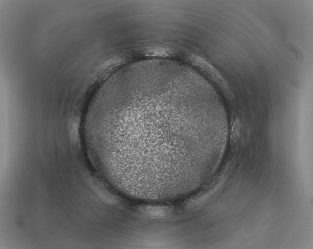 X0000114440209200911061711