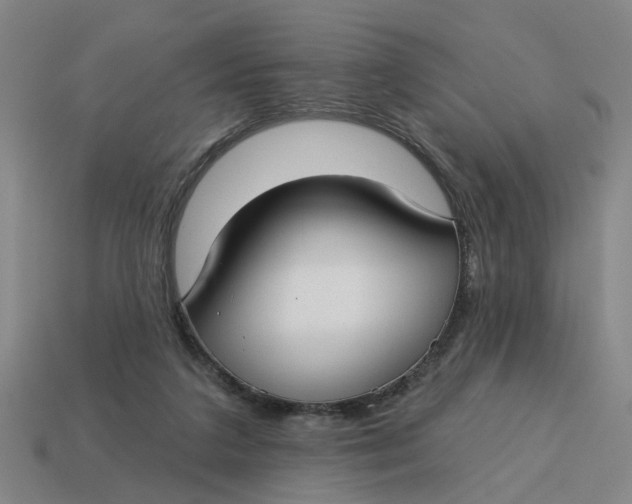 X0000114440211200911061710