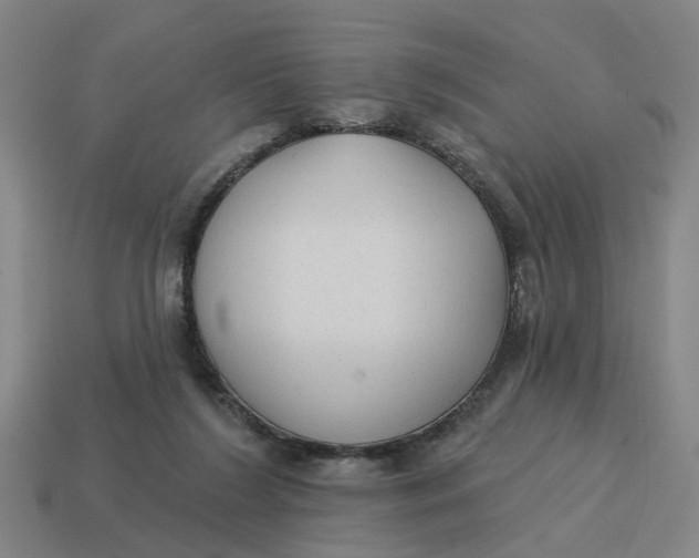 X0000114440212200911061710