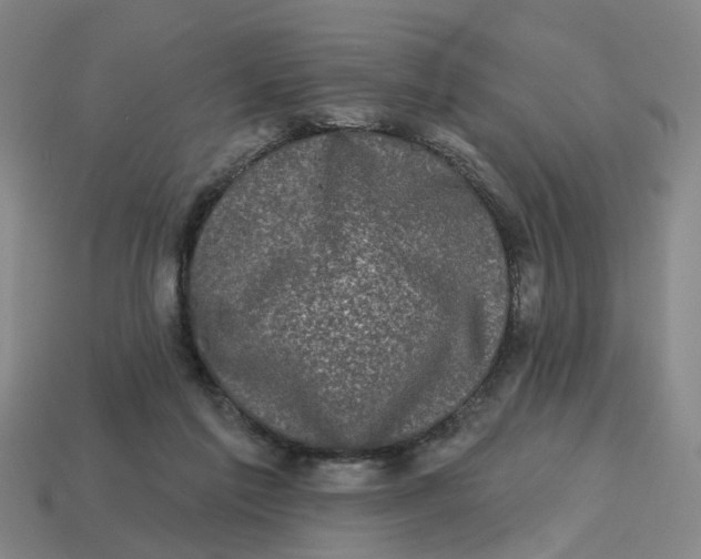 X0000114440213200911061710