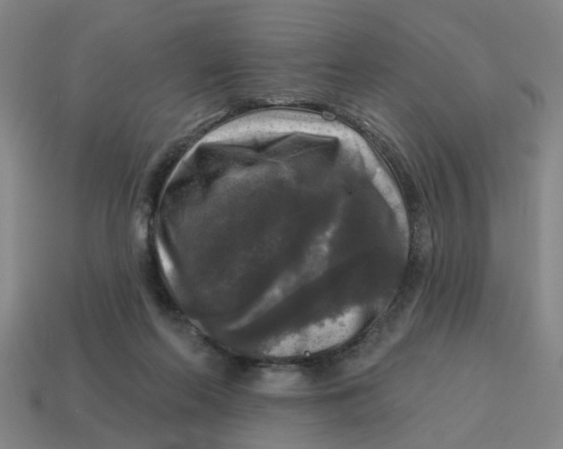 X0000114440214200911061710