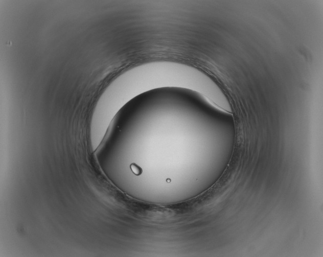 X0000114440215200911061710